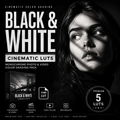 Promotional graphic for a cinematic color grading pack titled 'Black & White'. The design features a high-contrast black-and-white portrait of a woman with dramatic shadow lighting on the right, alongside a software box mockup showing a bridge scene on the left.