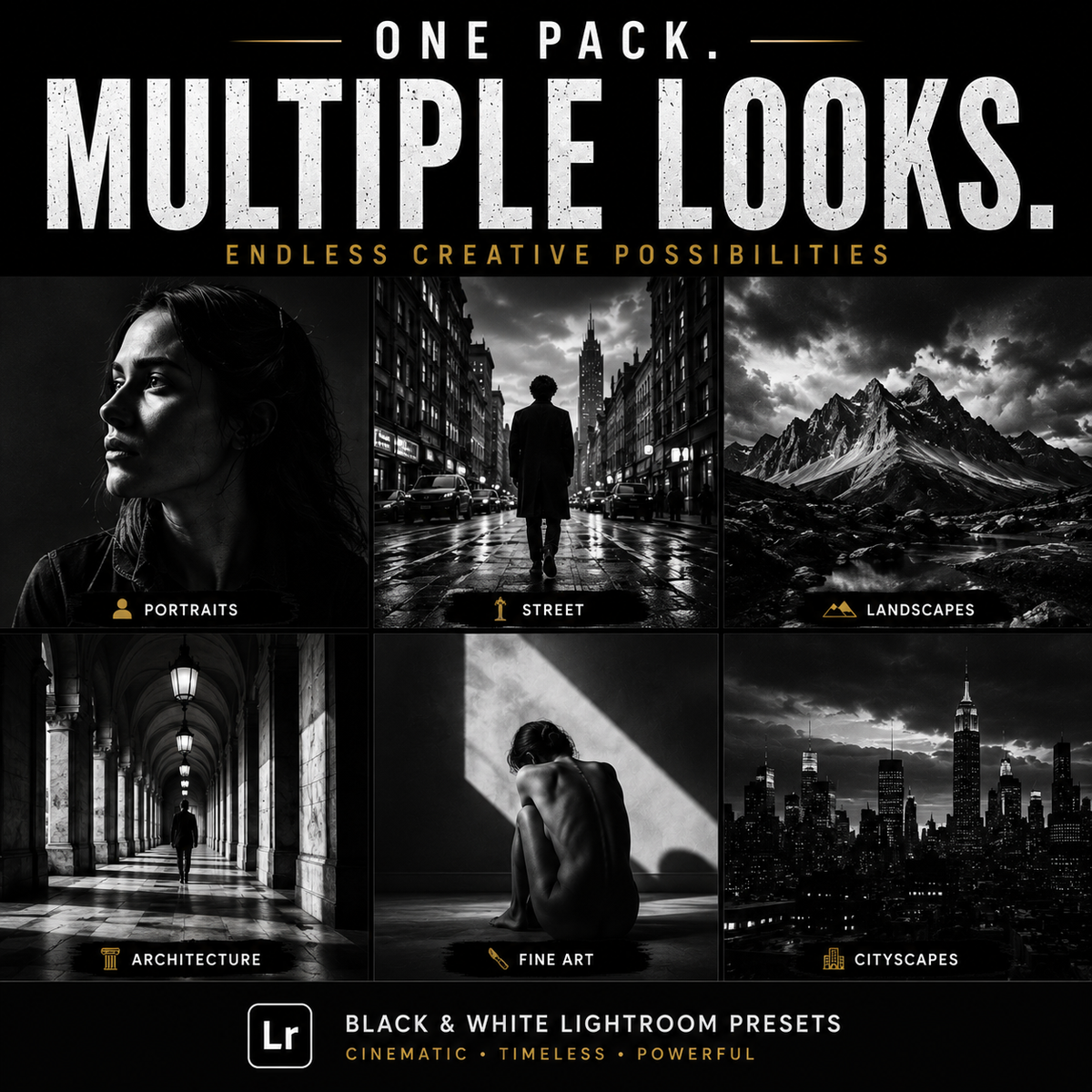 Promotional graphic for a pack of Lightroom presets titled 'ONE PACK. MULTIPLE LOOKS.