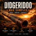 Promotional graphic for a digital audio sample pack titled 'DIDGERIDOO WAV SAMPLES' with the subtitle 'TRIBAL • AMBIENT • CINEMATIC'. The design features a wooden didgeridoo instrument resting on a rocky desert landscape at sunset.