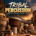 Promotional cover art for a music sample pack titled 'TRIBAL PERCUSSION' showing an assortment of traditional African drums and percussion instruments in a warm sunset outdoor setting with stone buildings.