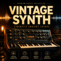 Promotional cover art for a preset collection titled 'VINTAGE SYNTH' with the subtitle 'CINEMATIC AMBIENT SOUNDS.' The design shows a vintage synthesizer keyboard in warm amber lighting, with large distressed gold title text and feature icons along the bottom: 'Vintage Character,' 'Cinematic Atmospheres,' 'Ambient Depth,' and 'Instant Download.