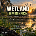 Cover art for a sound library pack titled 'WETLAND AMBIENCE' by Nyml Studio, featuring a scenic marsh landscape at sunrise with birds, a heron, lily pads, and large title text over the image.